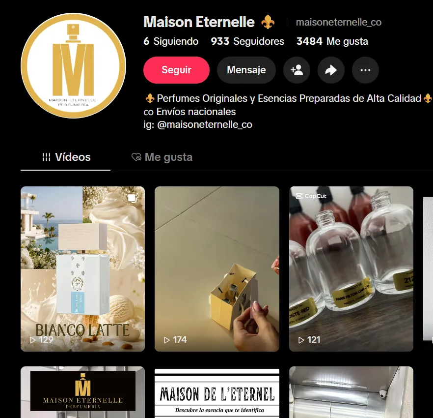Perfil de TikTok @maisoneternelle_co